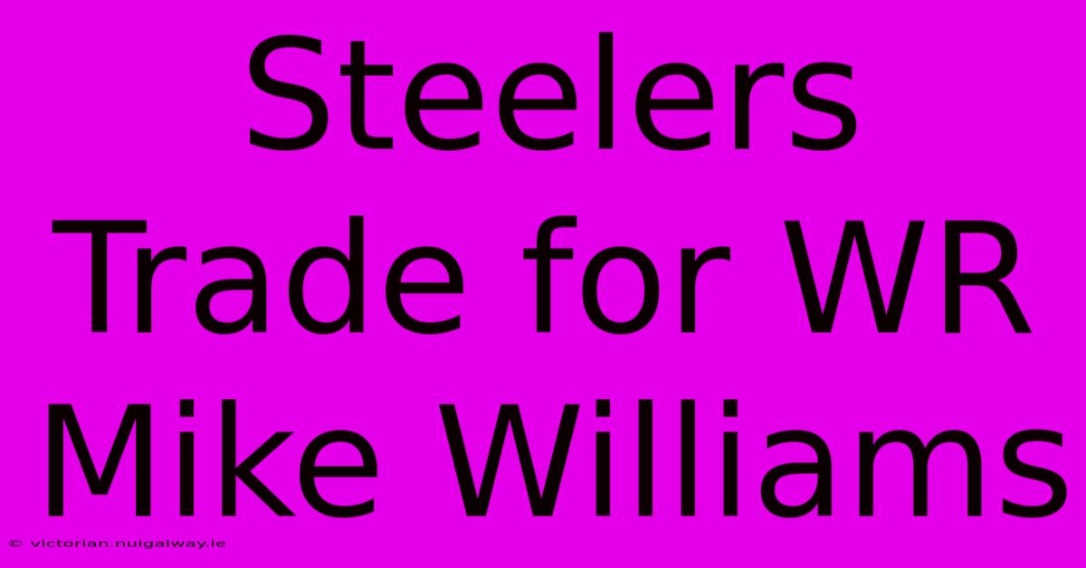 Steelers Trade For WR Mike Williams 