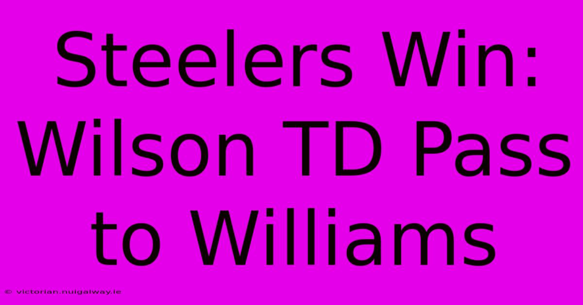 Steelers Win: Wilson TD Pass To Williams