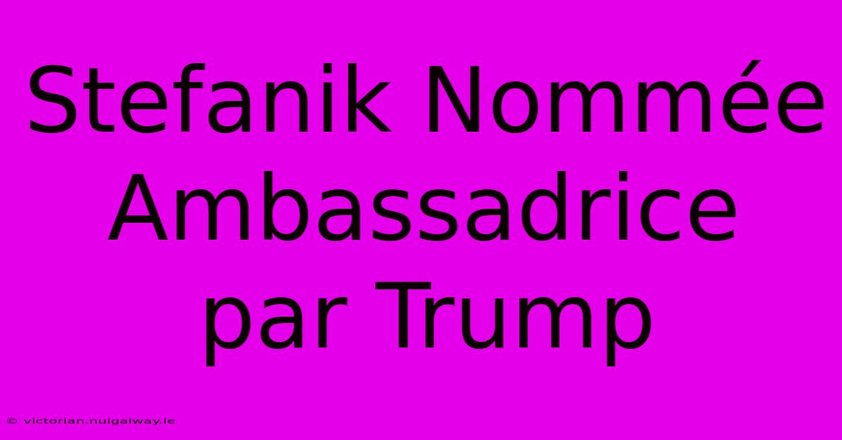 Stefanik Nommée Ambassadrice Par Trump