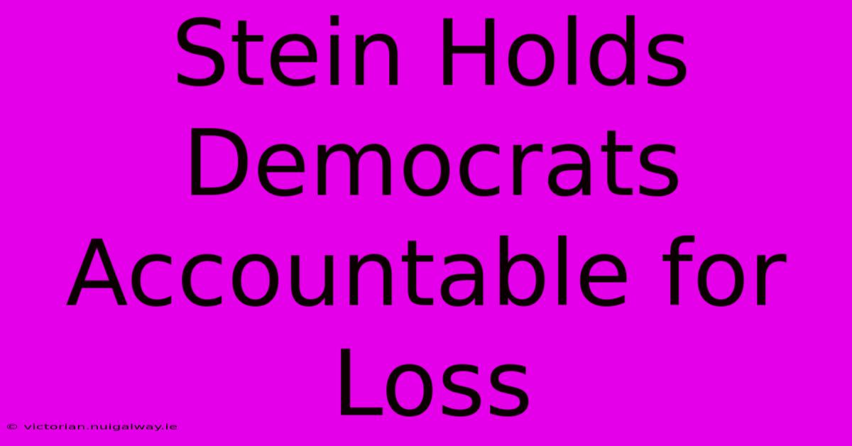 Stein Holds Democrats Accountable For Loss