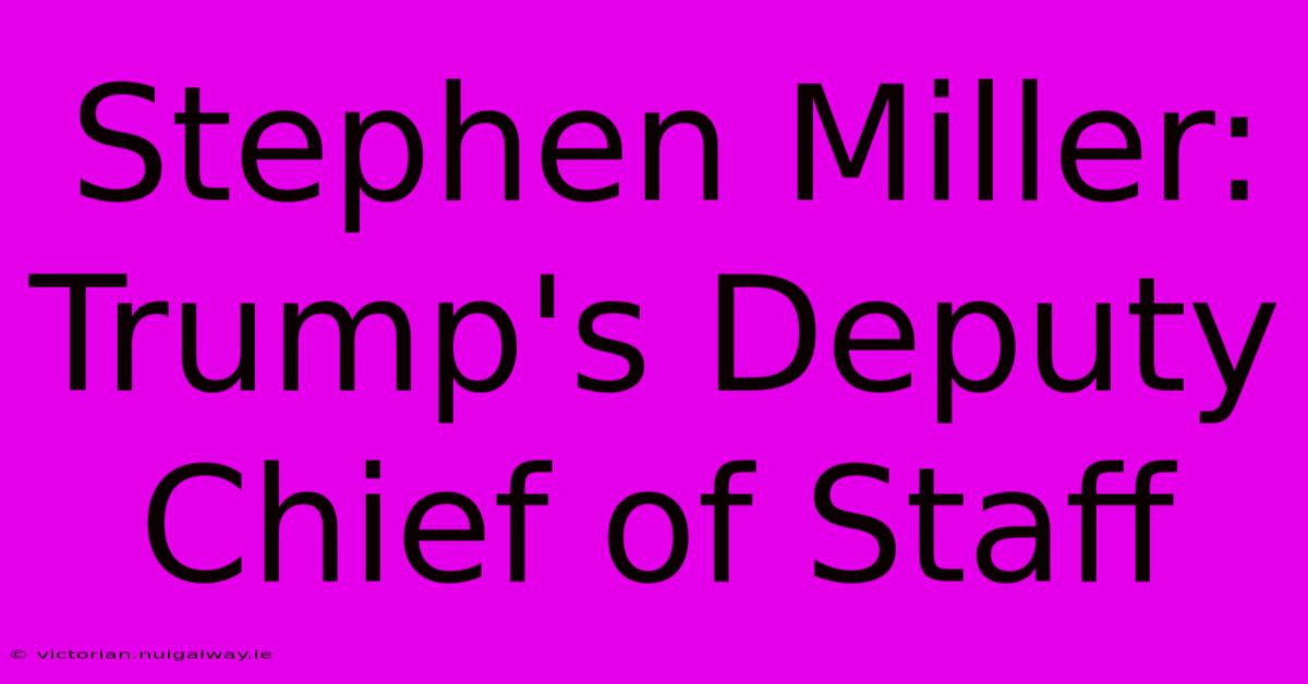 Stephen Miller: Trump's Deputy Chief Of Staff