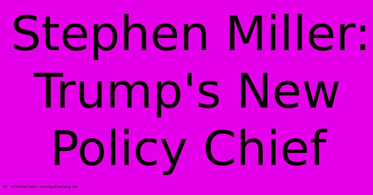 Stephen Miller: Trump's New Policy Chief 