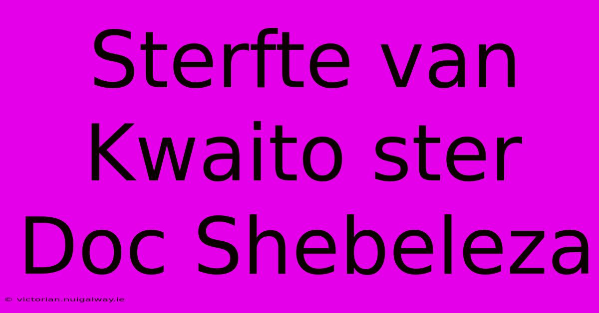 Sterfte Van Kwaito Ster Doc Shebeleza