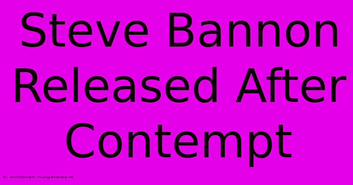 Steve Bannon Released After Contempt