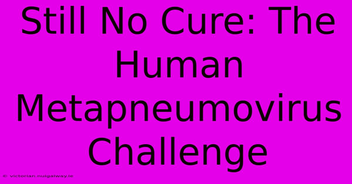 Still No Cure: The Human Metapneumovirus Challenge