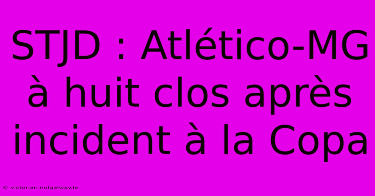 STJD : Atlético-MG À Huit Clos Après Incident À La Copa 