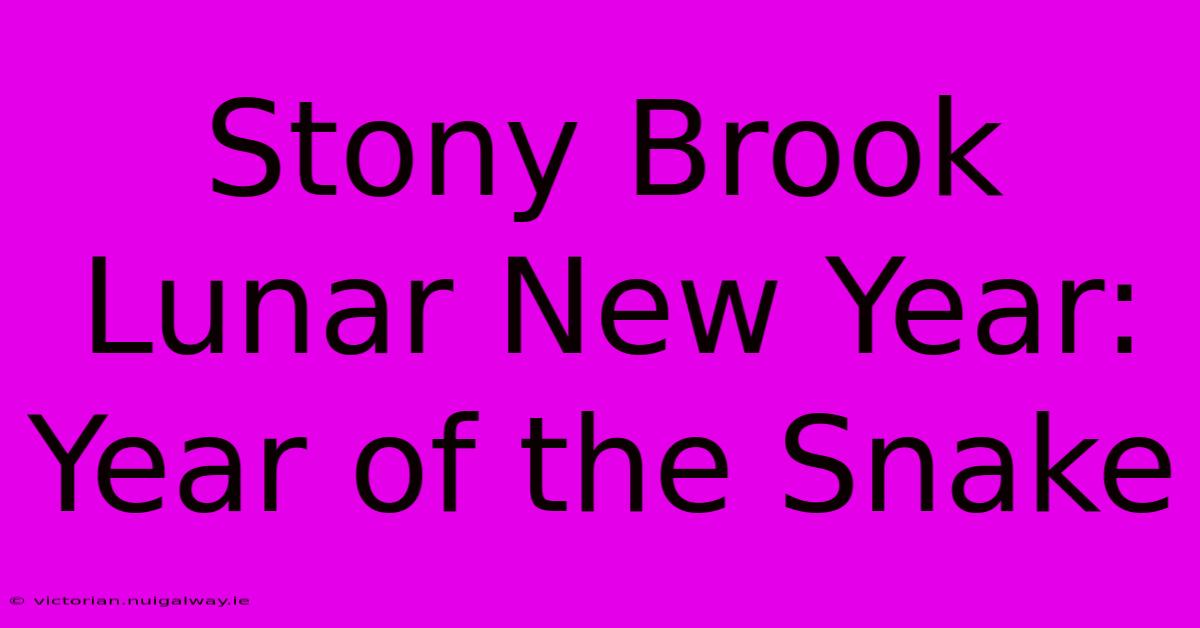 Stony Brook Lunar New Year: Year Of The Snake