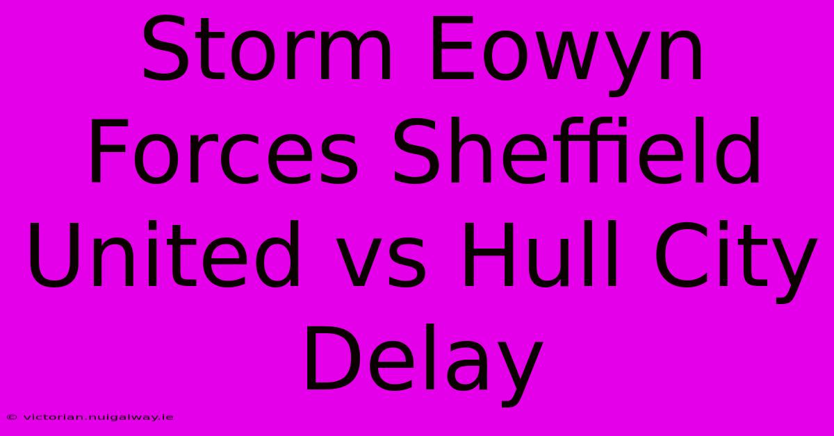 Storm Eowyn Forces Sheffield United Vs Hull City Delay