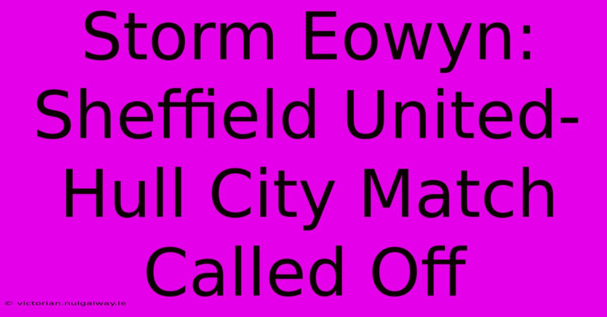 Storm Eowyn: Sheffield United-Hull City Match Called Off