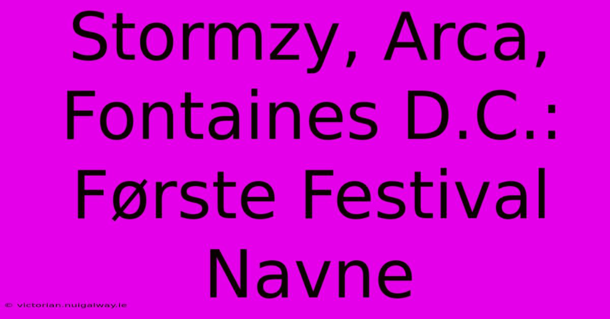 Stormzy, Arca, Fontaines D.C.: Første Festival Navne