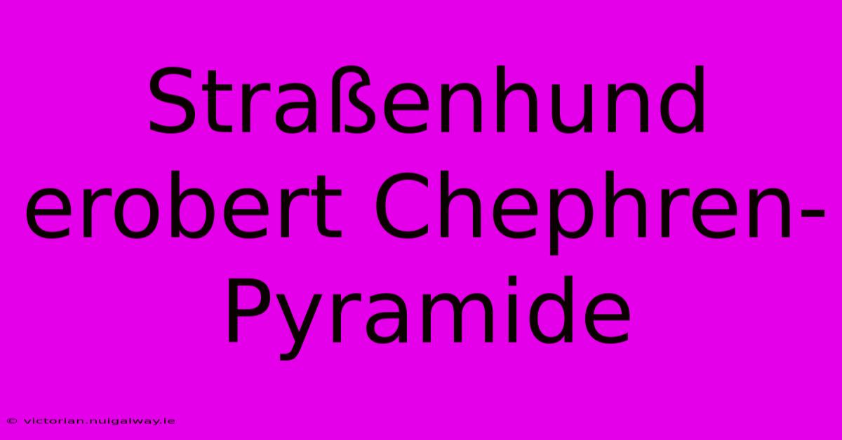 Straßenhund Erobert Chephren-Pyramide