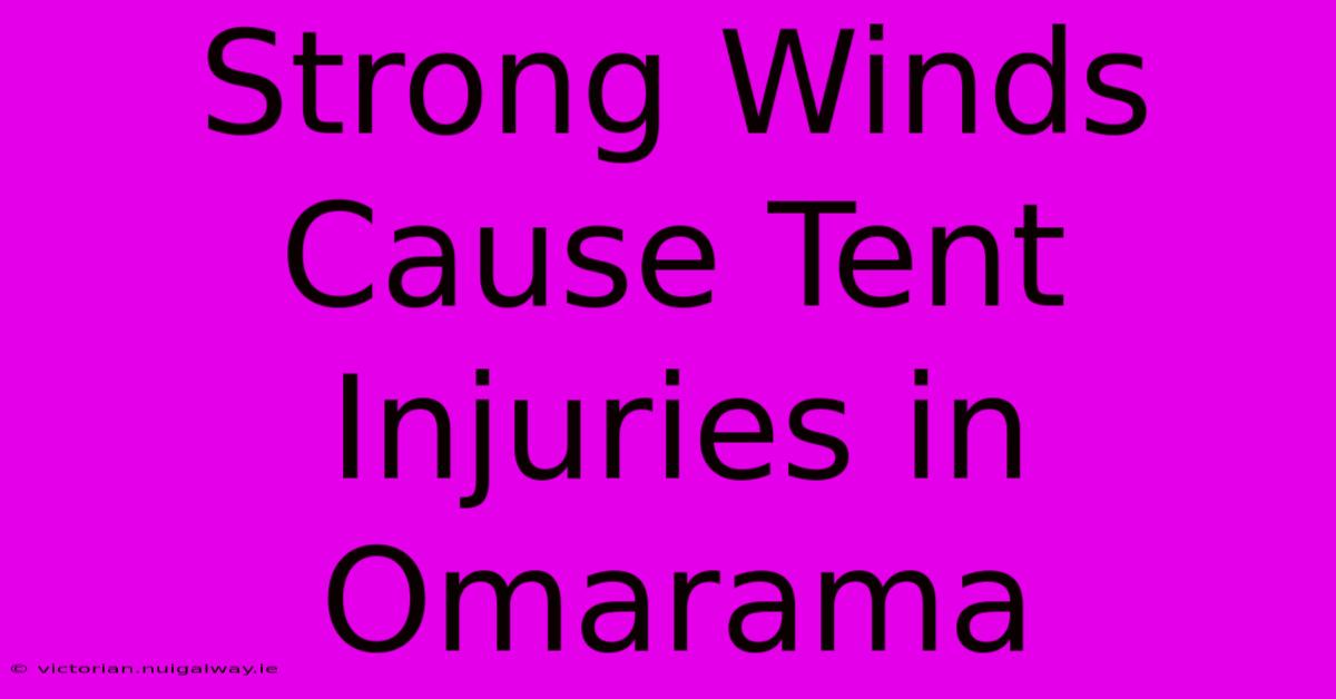 Strong Winds Cause Tent Injuries In Omarama