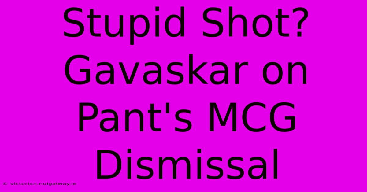 Stupid Shot? Gavaskar On Pant's MCG Dismissal