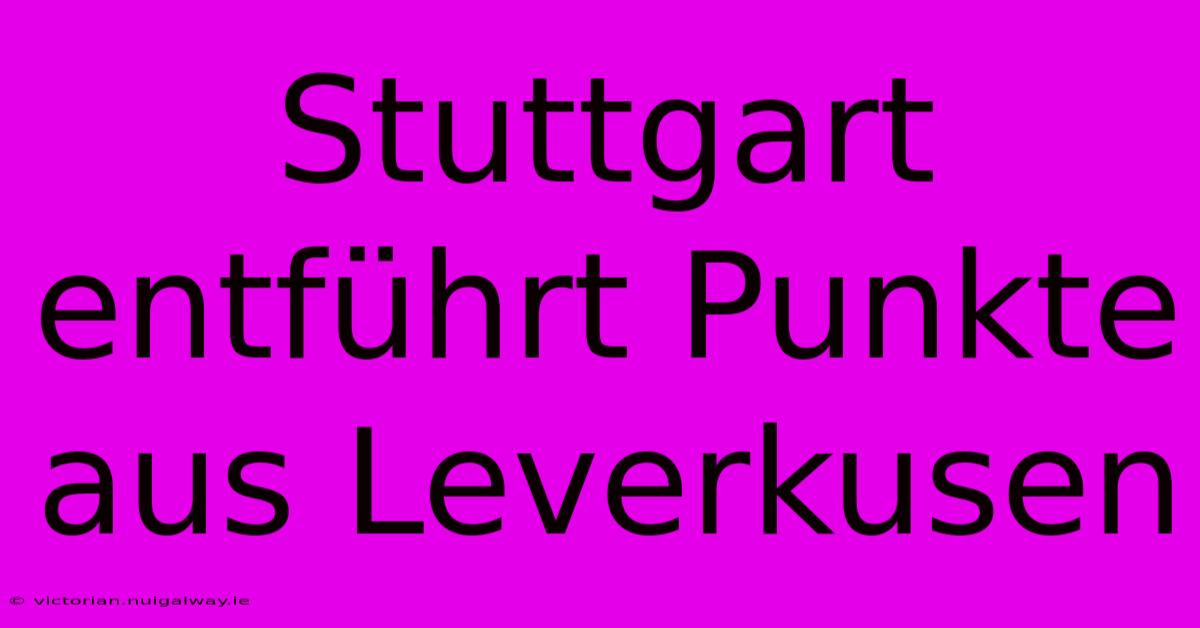 Stuttgart Entführt Punkte Aus Leverkusen