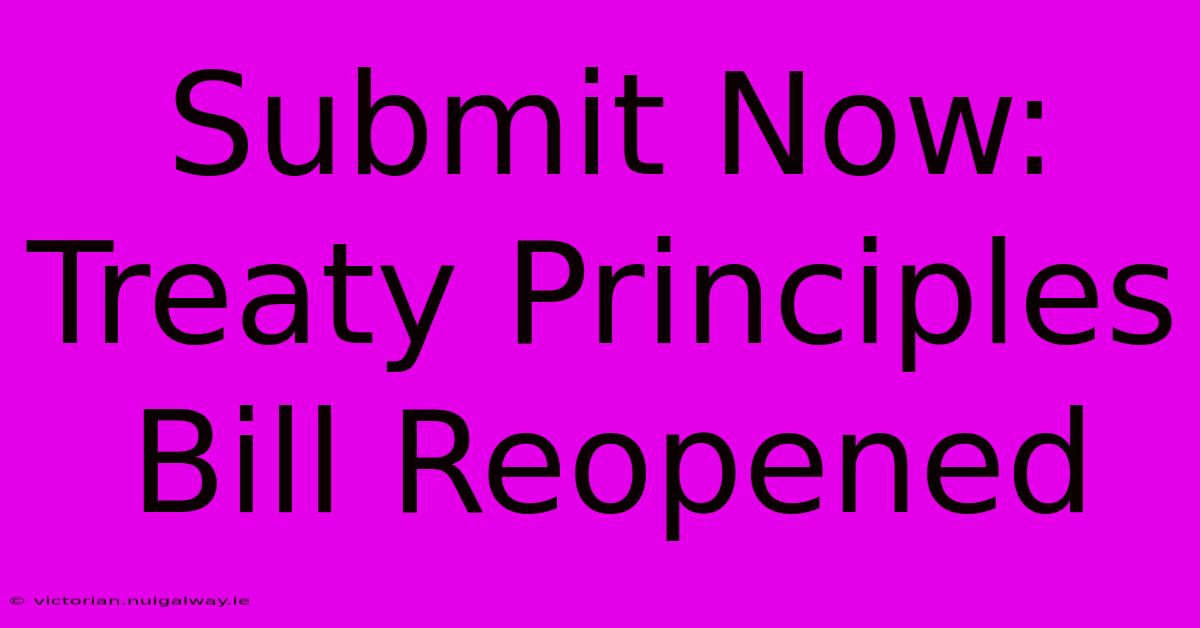 Submit Now: Treaty Principles Bill Reopened