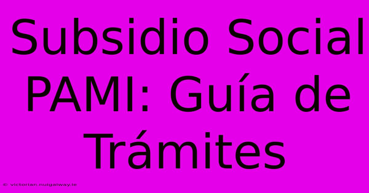 Subsidio Social PAMI: Guía De Trámites