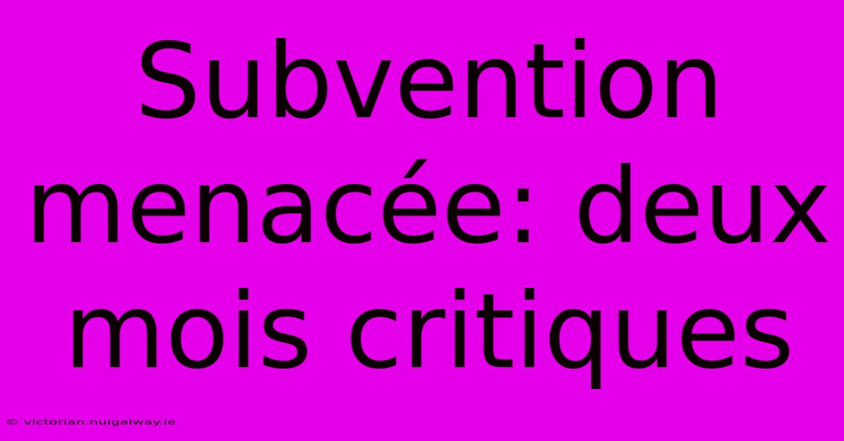 Subvention Menacée: Deux Mois Critiques