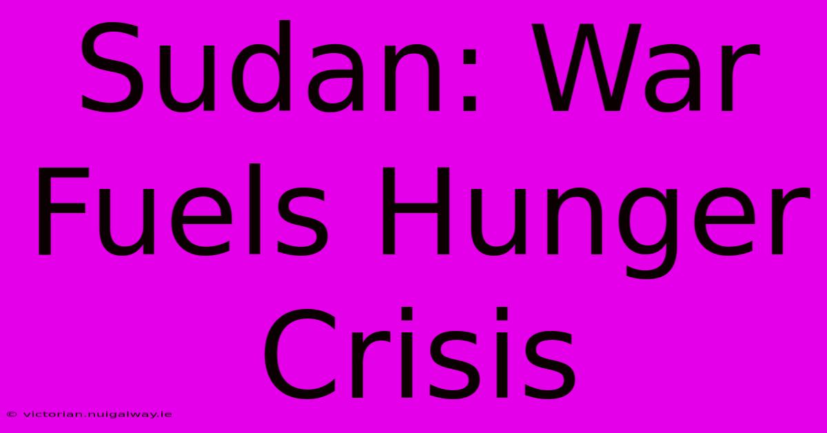 Sudan: War Fuels Hunger Crisis