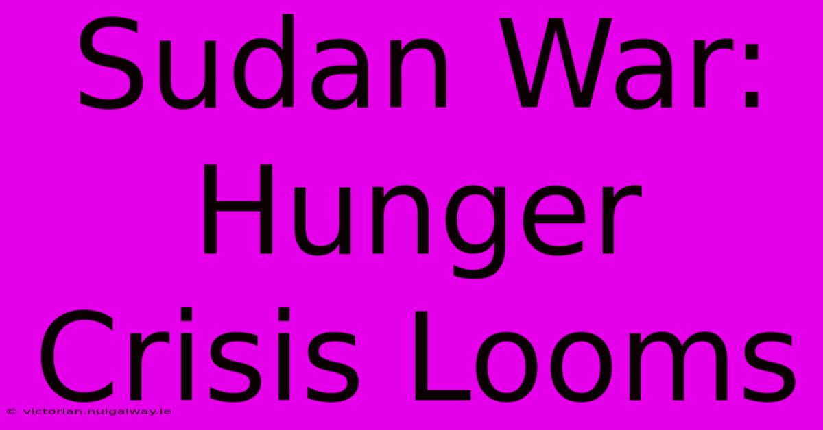 Sudan War: Hunger Crisis Looms