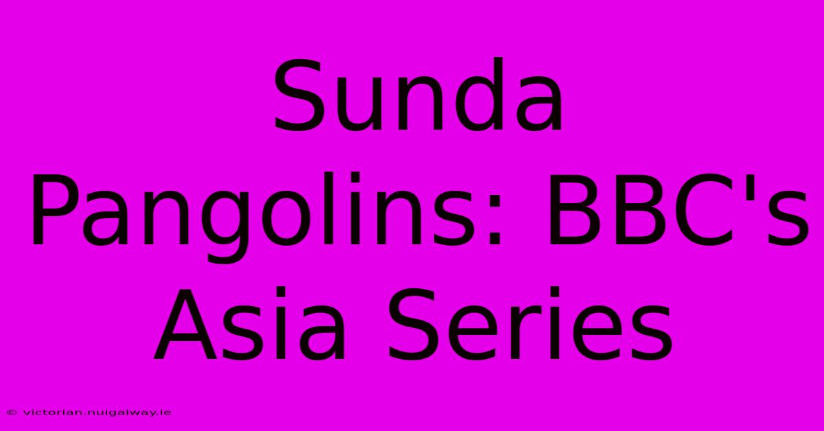 Sunda Pangolins: BBC's Asia Series