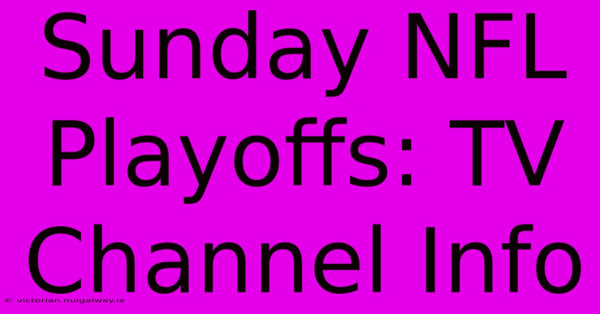 Sunday NFL Playoffs: TV Channel Info