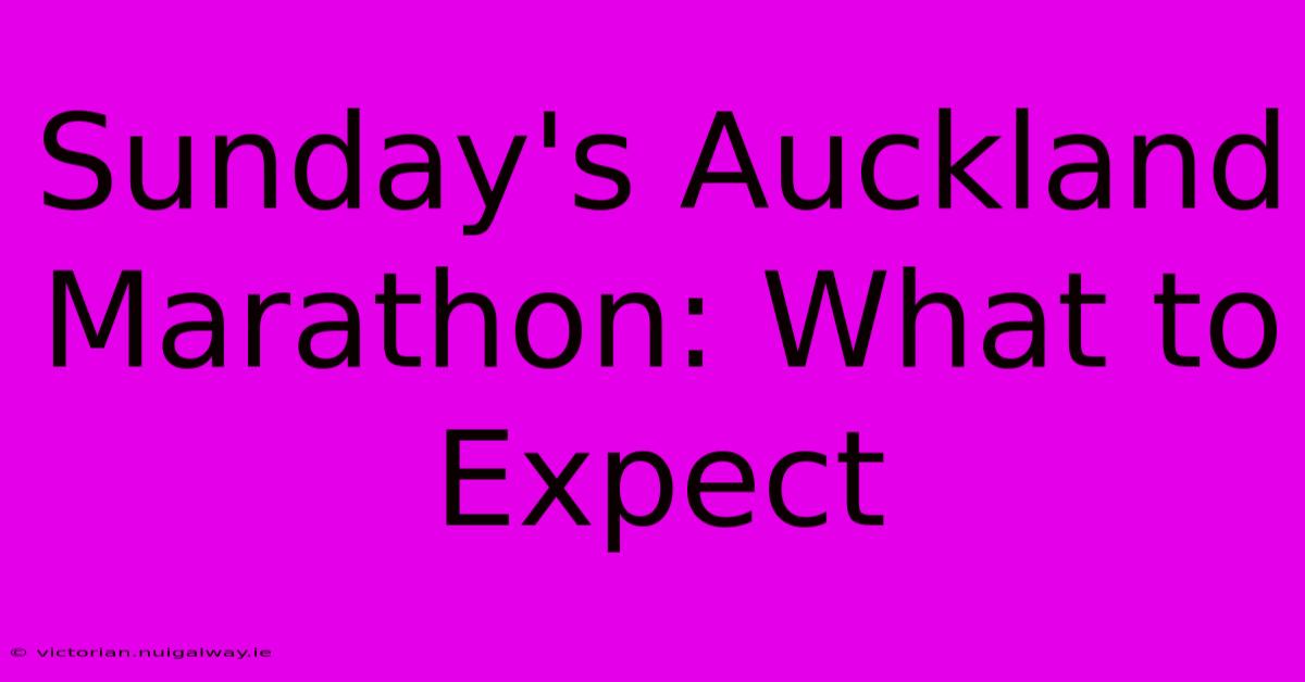 Sunday's Auckland Marathon: What To Expect