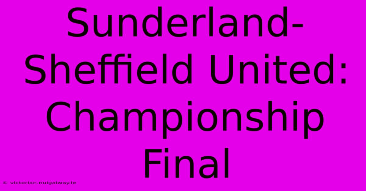 Sunderland-Sheffield United: Championship Final