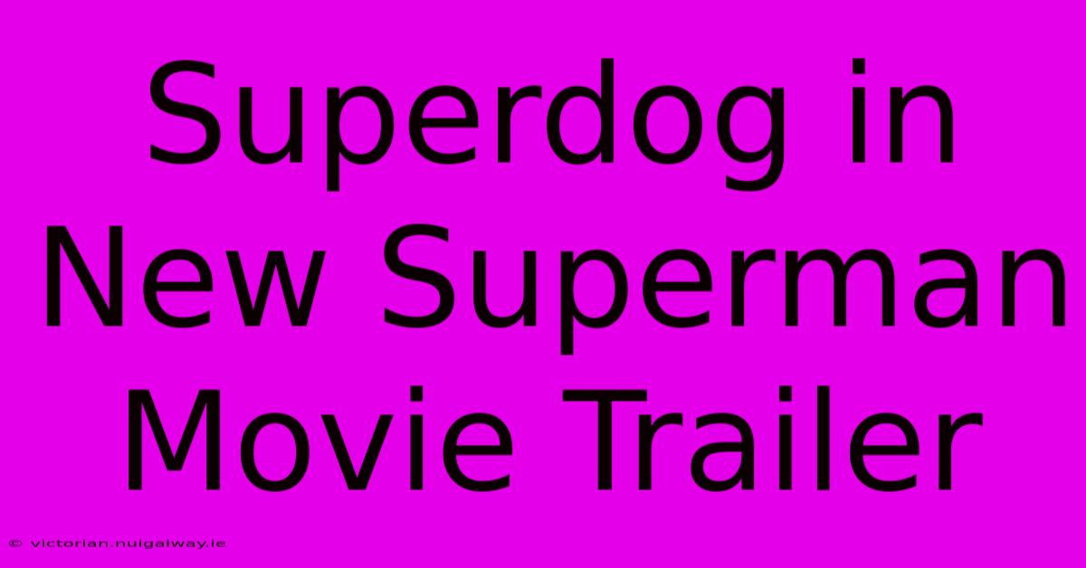 Superdog In New Superman Movie Trailer