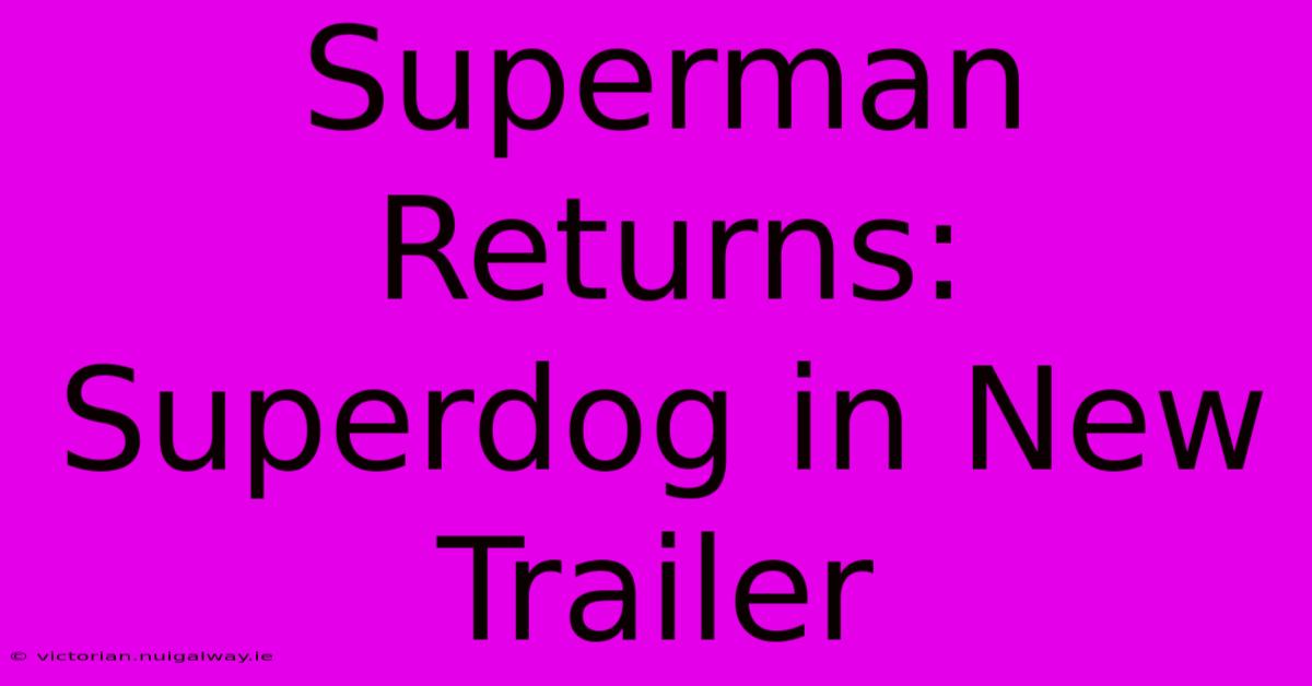 Superman Returns: Superdog In New Trailer