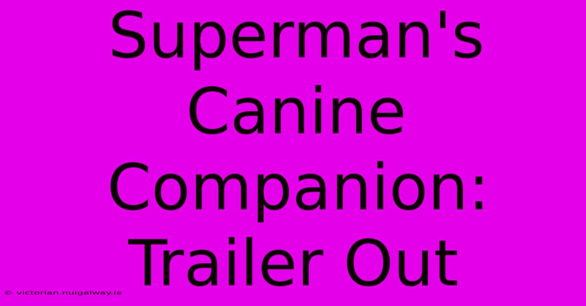 Superman's Canine Companion: Trailer Out