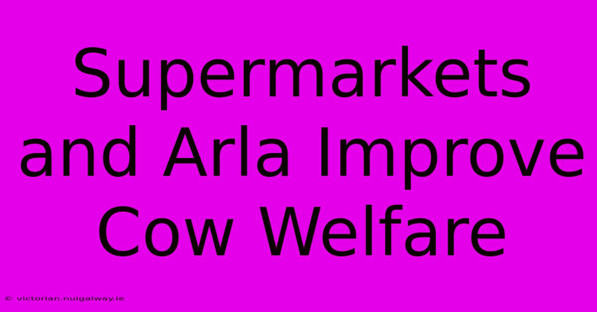 Supermarkets And Arla Improve Cow Welfare