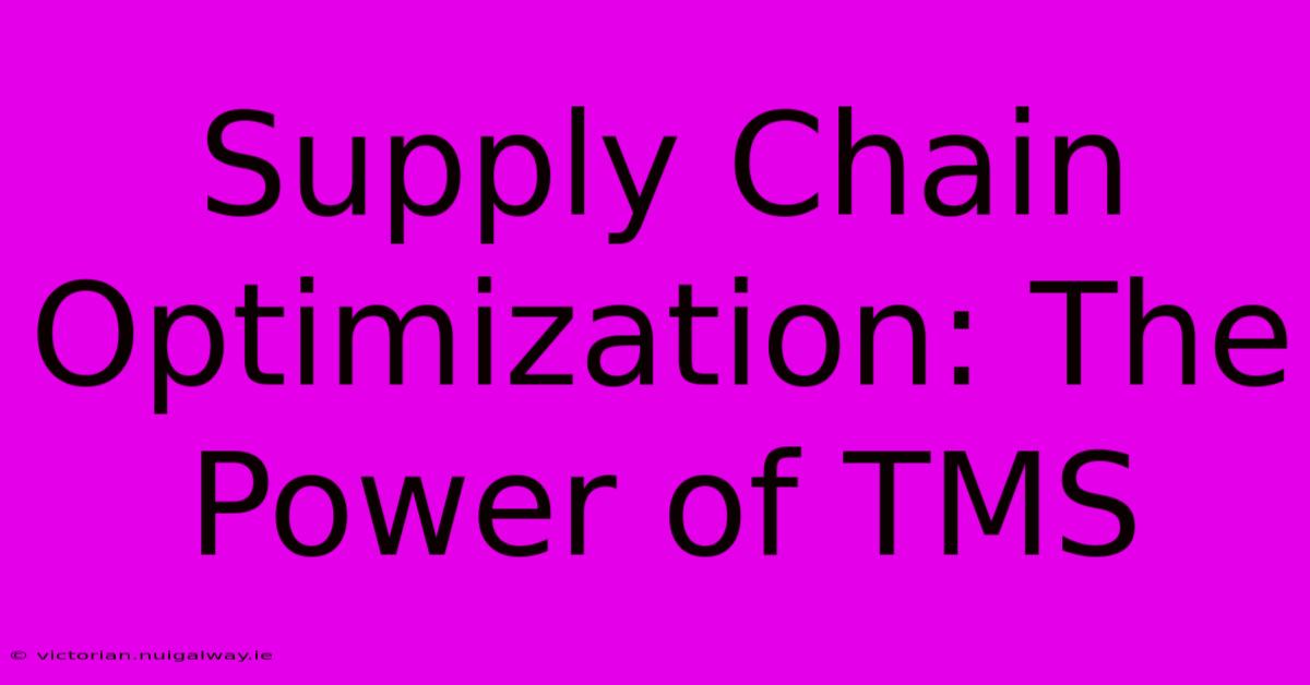 Supply Chain Optimization: The Power Of TMS