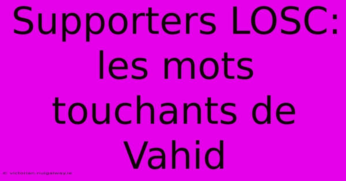 Supporters LOSC: Les Mots Touchants De Vahid