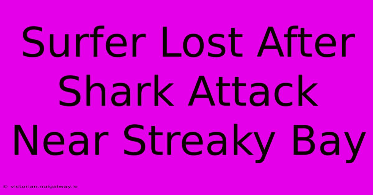 Surfer Lost After Shark Attack Near Streaky Bay