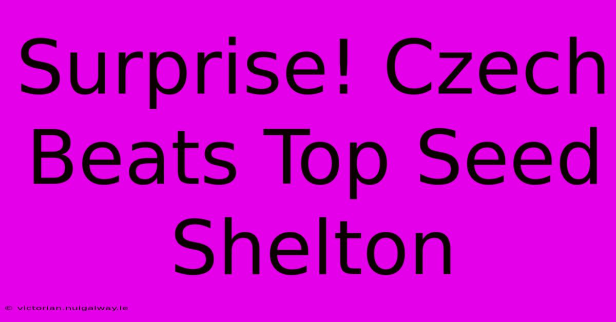 Surprise! Czech Beats Top Seed Shelton