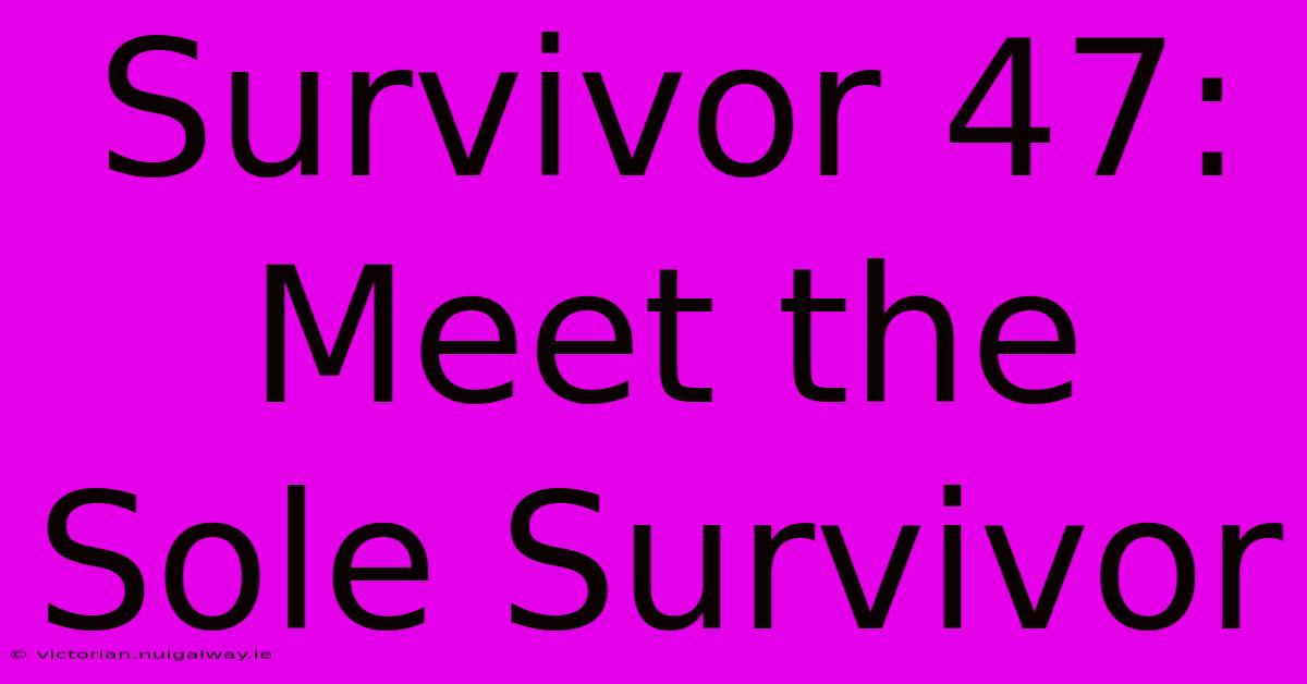 Survivor 47: Meet The Sole Survivor