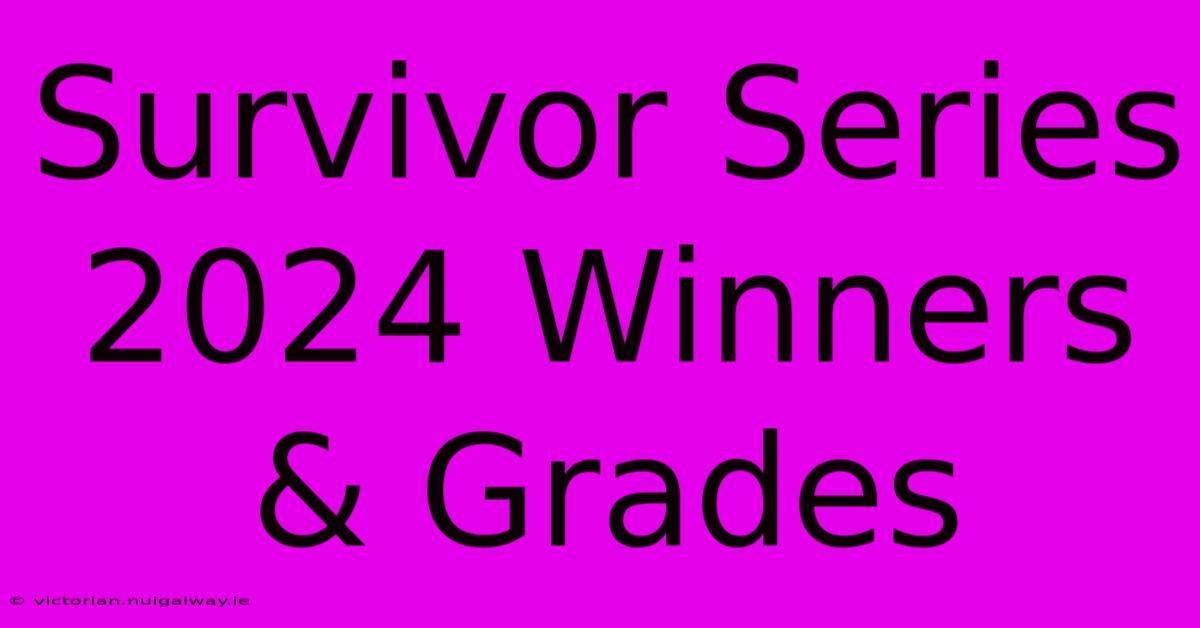 Survivor Series 2024 Winners & Grades