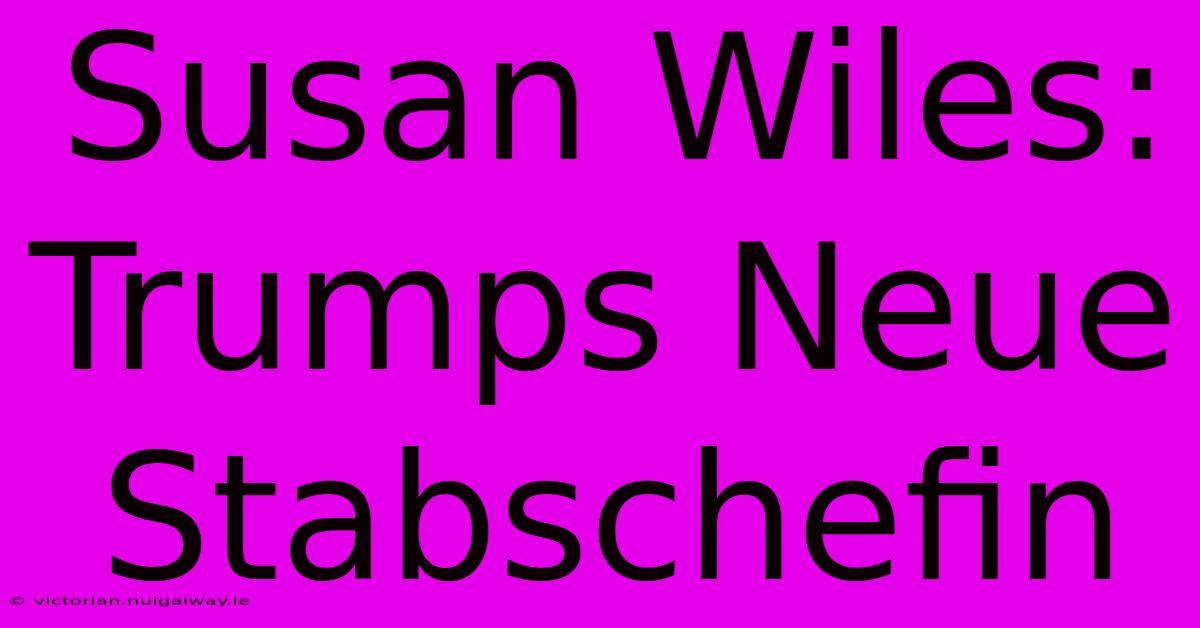 Susan Wiles: Trumps Neue Stabschefin