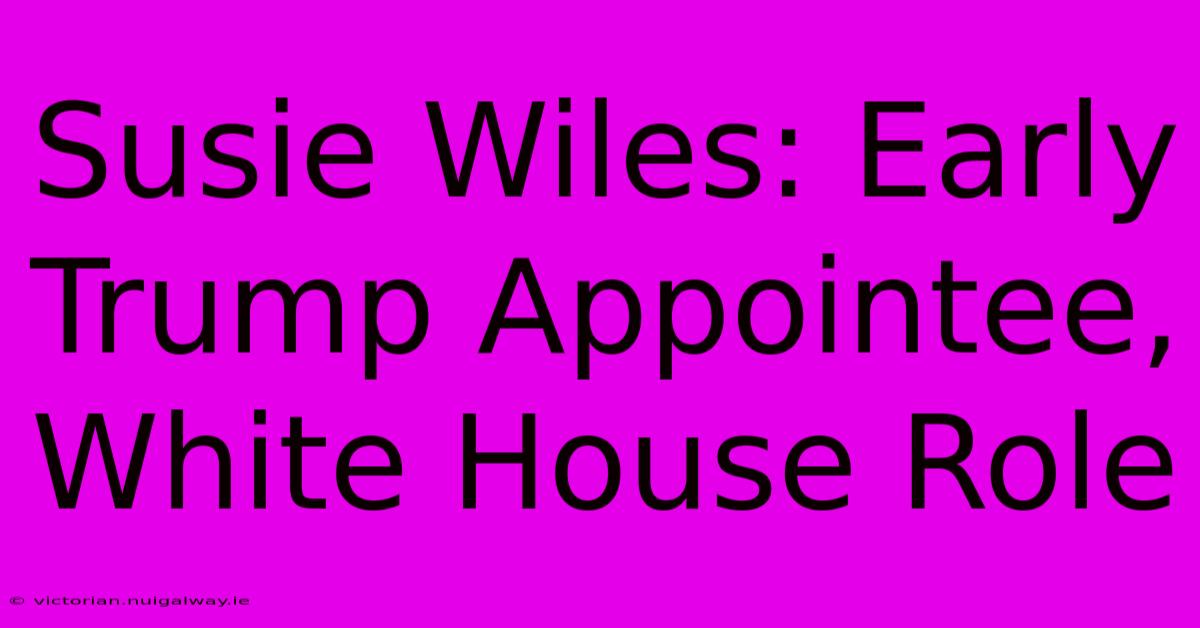 Susie Wiles: Early Trump Appointee, White House Role