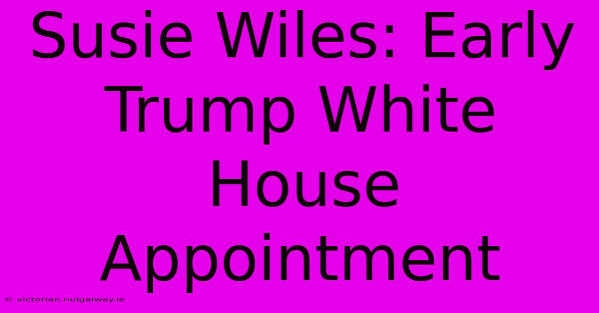 Susie Wiles: Early Trump White House Appointment