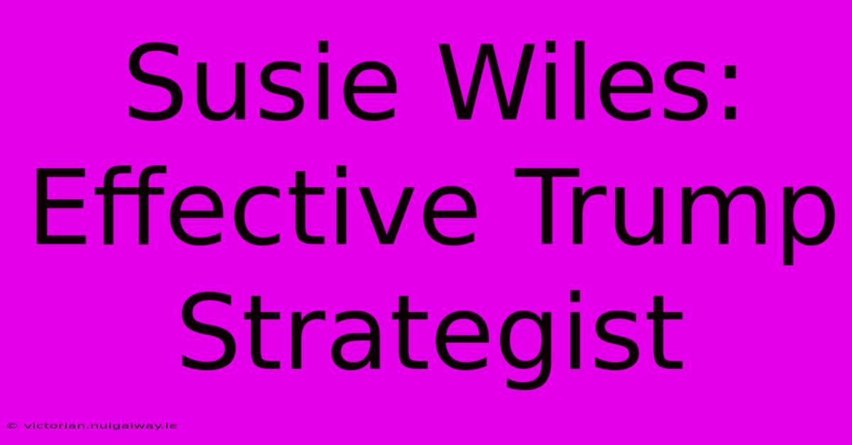 Susie Wiles: Effective Trump Strategist