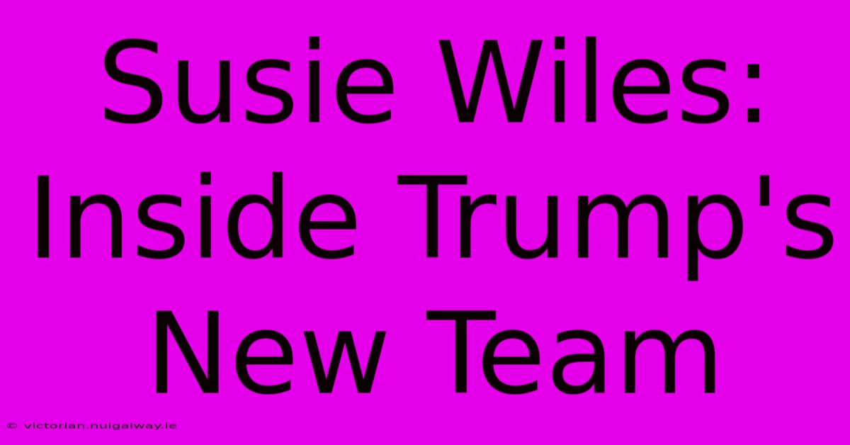 Susie Wiles: Inside Trump's New Team 