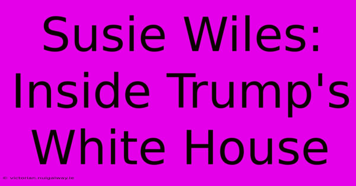 Susie Wiles: Inside Trump's White House