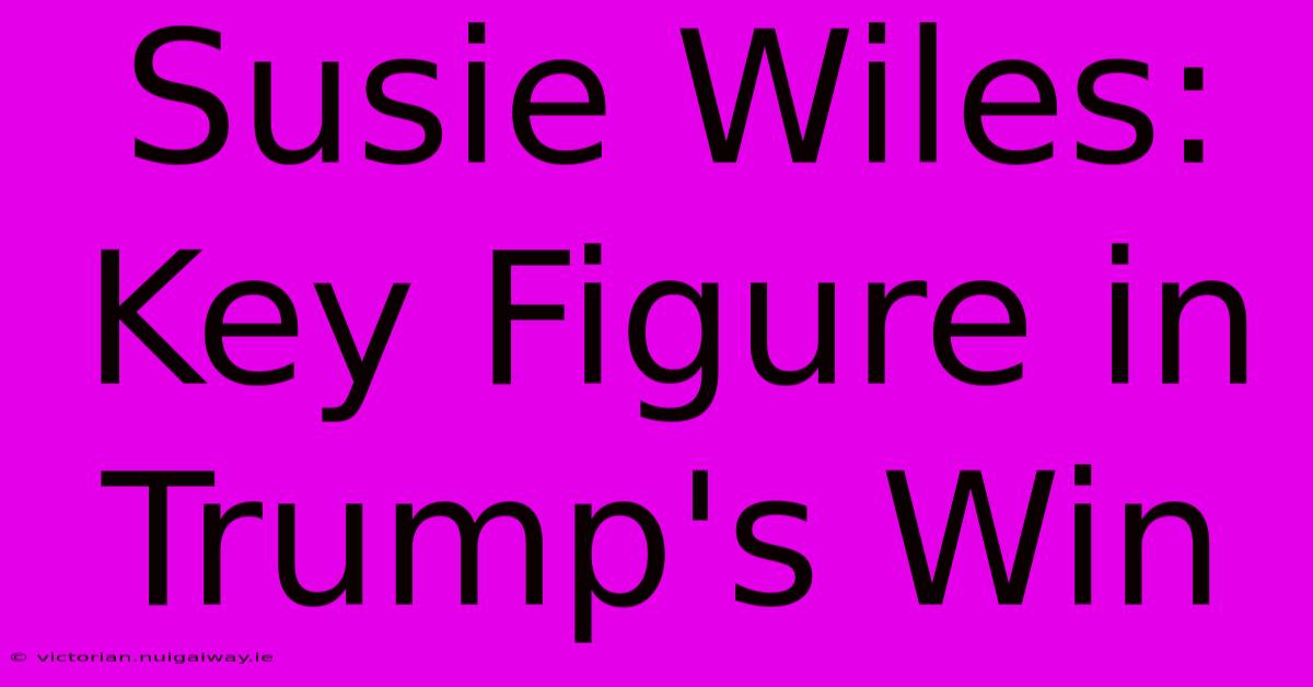 Susie Wiles: Key Figure In Trump's Win