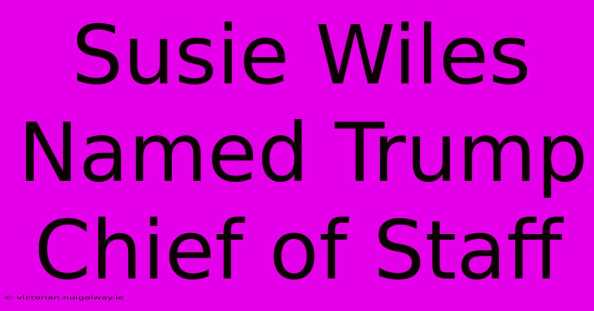 Susie Wiles Named Trump Chief Of Staff