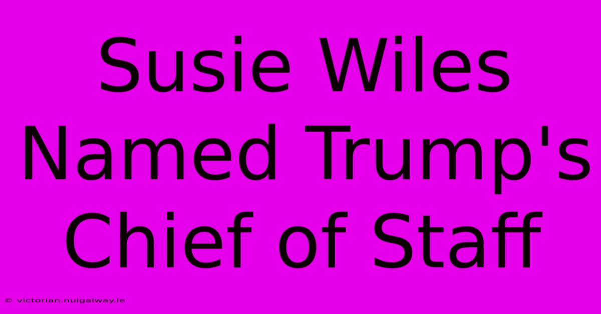 Susie Wiles Named Trump's Chief Of Staff