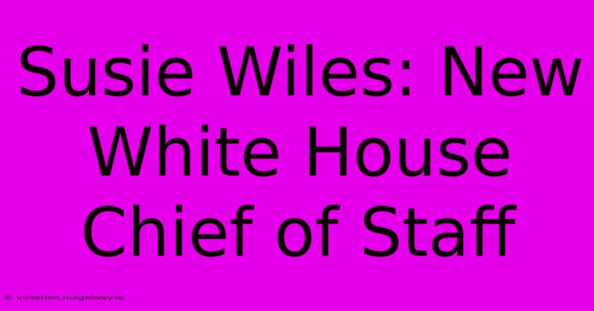 Susie Wiles: New White House Chief Of Staff