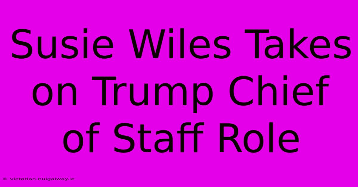 Susie Wiles Takes On Trump Chief Of Staff Role