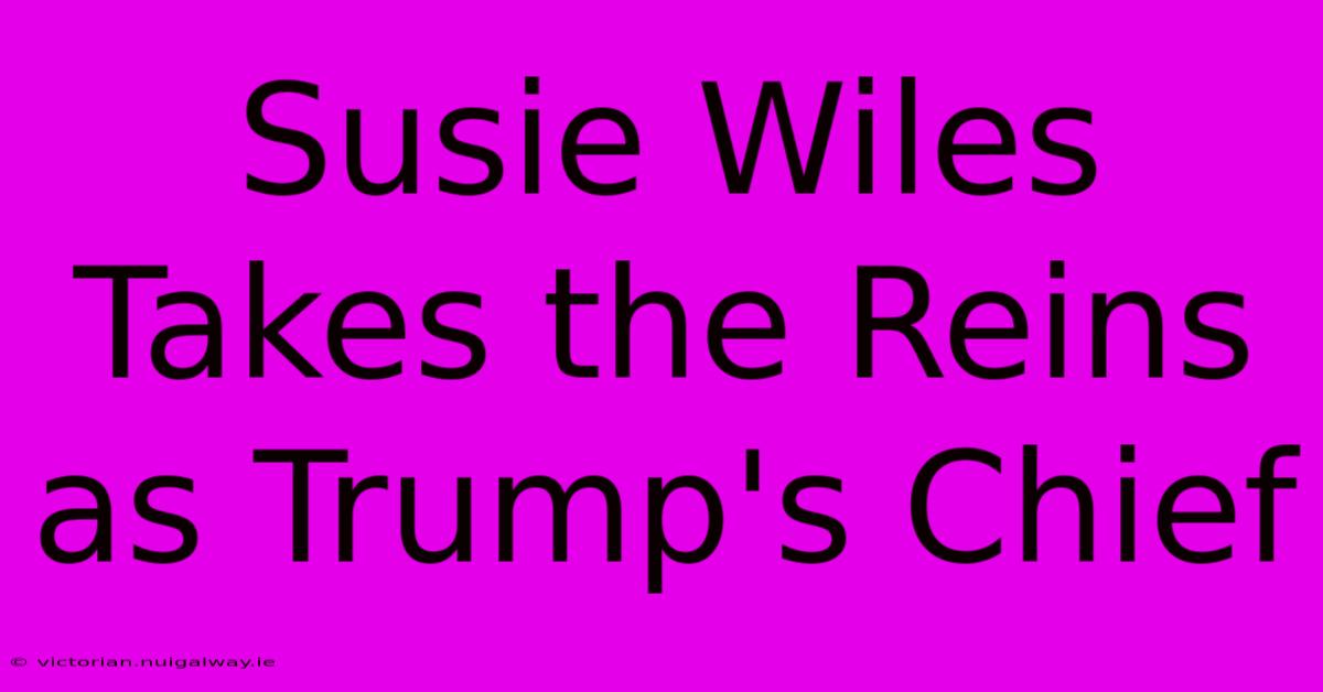 Susie Wiles Takes The Reins As Trump's Chief