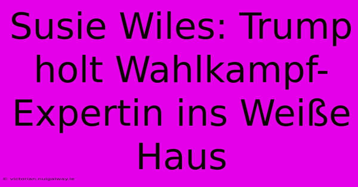 Susie Wiles: Trump Holt Wahlkampf-Expertin Ins Weiße Haus